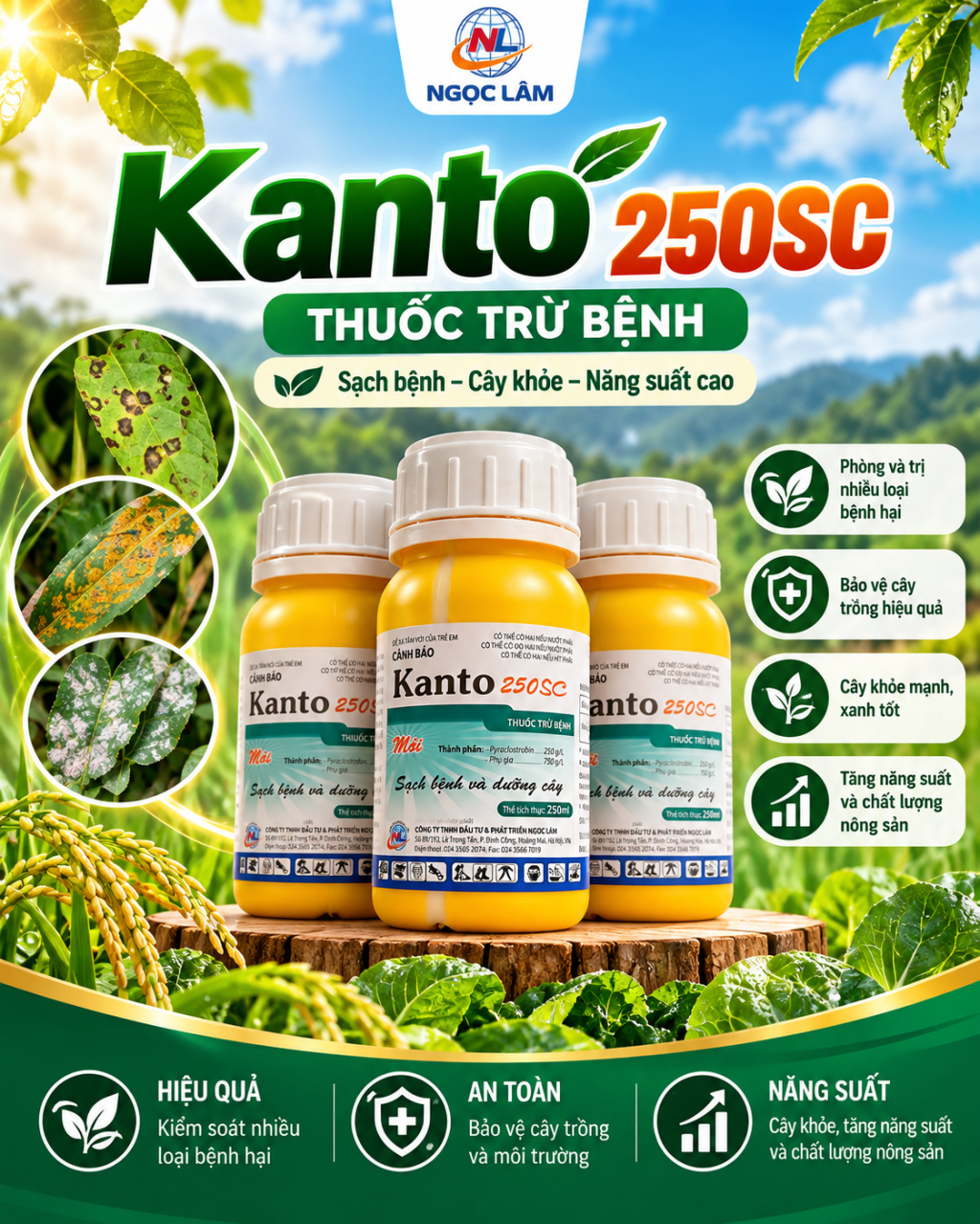 Kanto 250SC